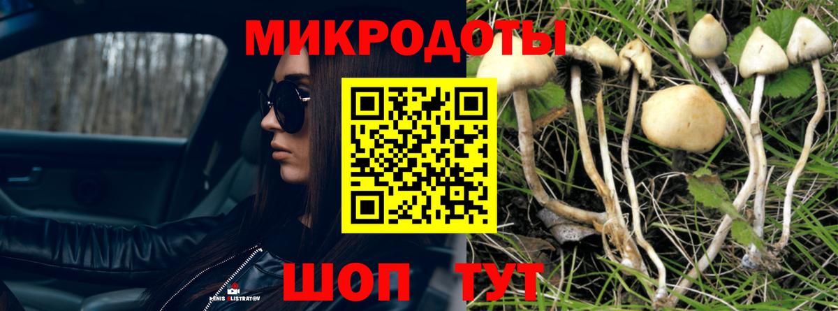 Касимов  Псилоцибиновые грибы мицелий  Вход с VPN  Галлюциногенные грибы Psilocybine cubensis 