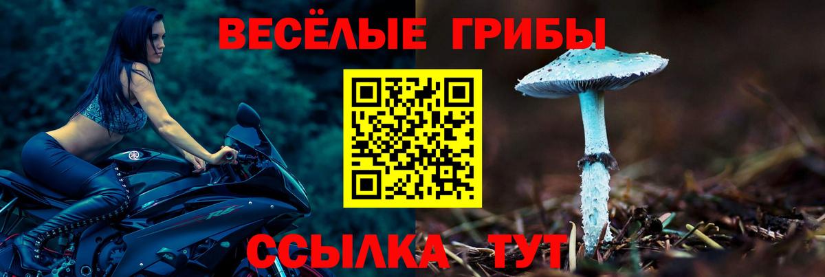 Галлюциногенные грибы мухоморы Касимов